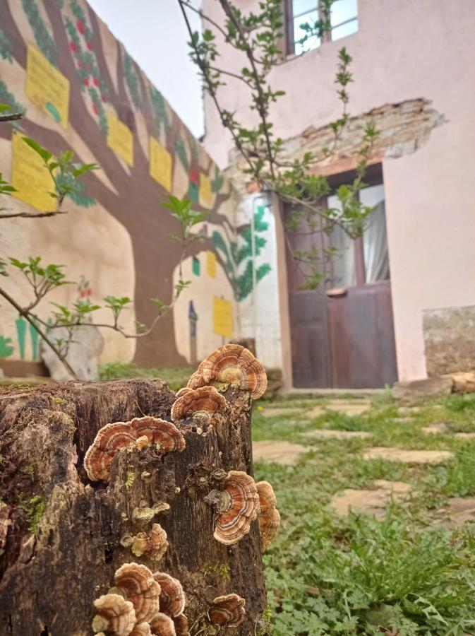 Albergue Eco El Beso - Vegano Triacastela Zewnętrze zdjęcie